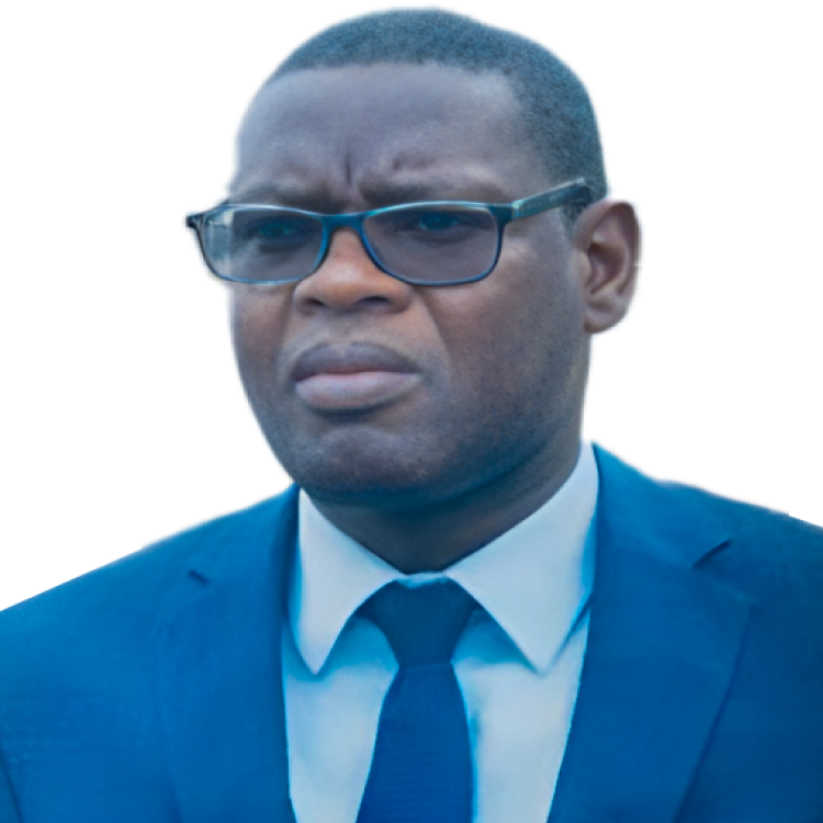 Mamoudou Alassane Camara
Directeur Général des
Infrastructures Routiers et du Désenclavement, Sénégal